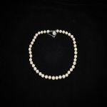 634855 Pearl necklace